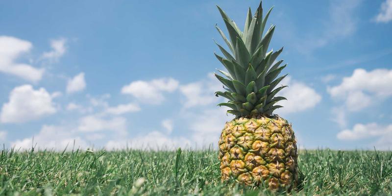 变频器与伺服驱动器维修实战：从功率模块测试到驱动波形深度分析