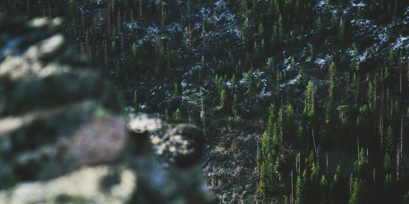 工业机器人控制柜维修实战：伺服系统与编码器信号故障深度排除指南