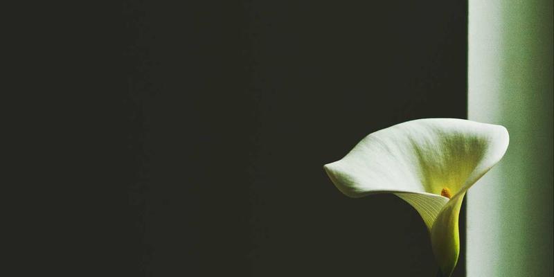 电子维修27：手机与电脑维修技术深度交流指南