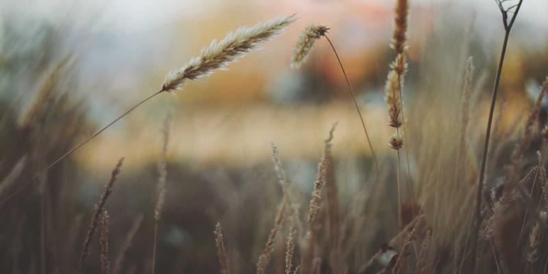 电子维修28：手机与电脑维修技术交流全攻略