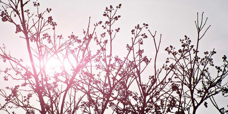 电子维修42：从手机维修切入，探索电子技术与行业交流的新维度