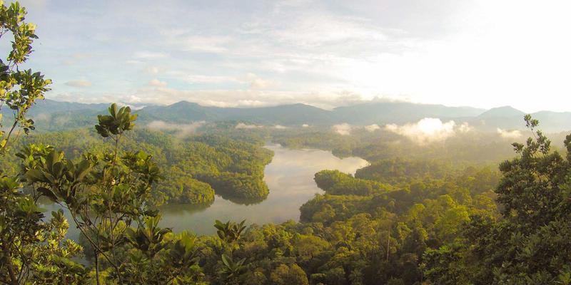 电子维修92：技术交流、电子技术与故障排除的深度实践指南