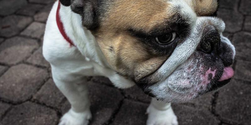 电子维修中的热成像技术应用：从电路板热点定位到元器件失效预判