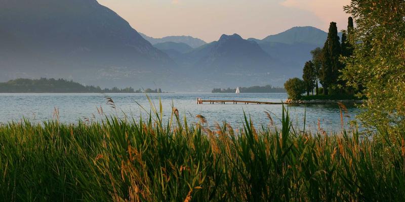 电子维修入门：从手机到家电，掌握故障排除的核心技能