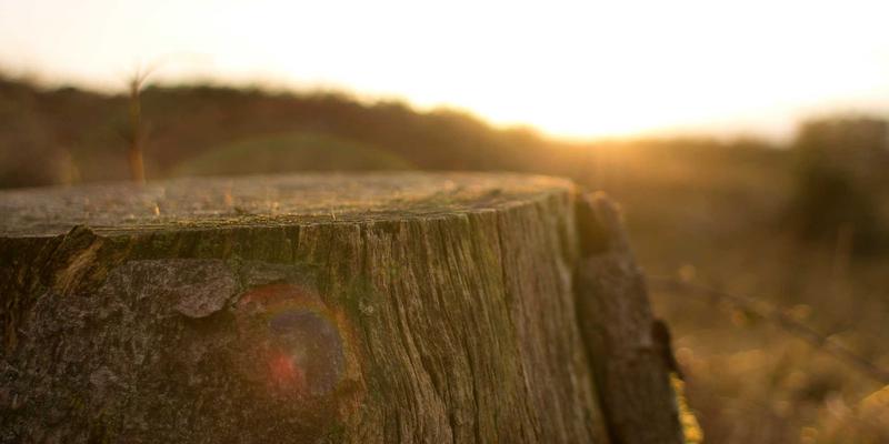电子维修必备：数据手册与电路图获取全渠道指南 | 维修教程与技术交流