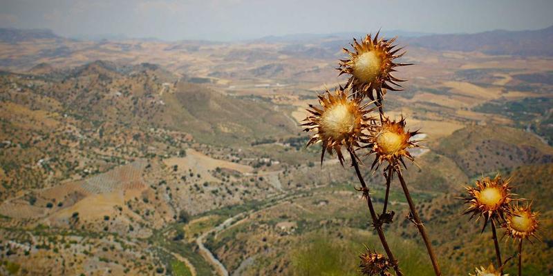 电子维修技术交流：从家电维修到专业电子设备修复的进阶之路