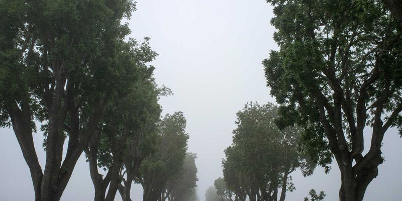 电子维修技术全解析：从电脑到手机，掌握核心维修技能