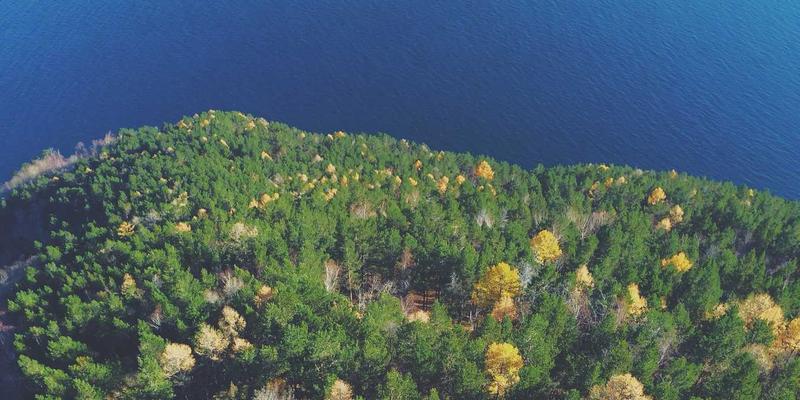 电子维修新趋势：从维修教程到智能诊断的技术演进