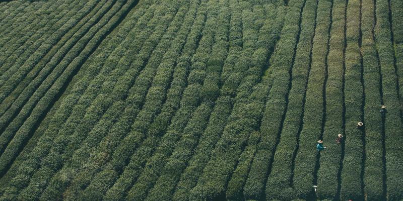 电子维修行业新蓝海：手机维修、技术交流与维修教程的融合创新