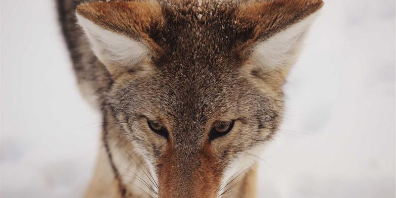 电脑、手机、家电维修必备：如何打造高效安全的专业工作台与静电防护区