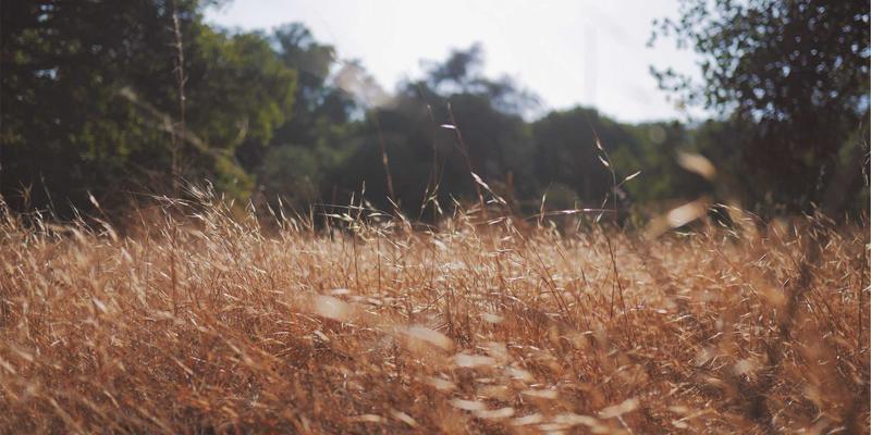 精密测量仪器维修全攻略：示波器与频谱分析仪故障排除与自校准教程